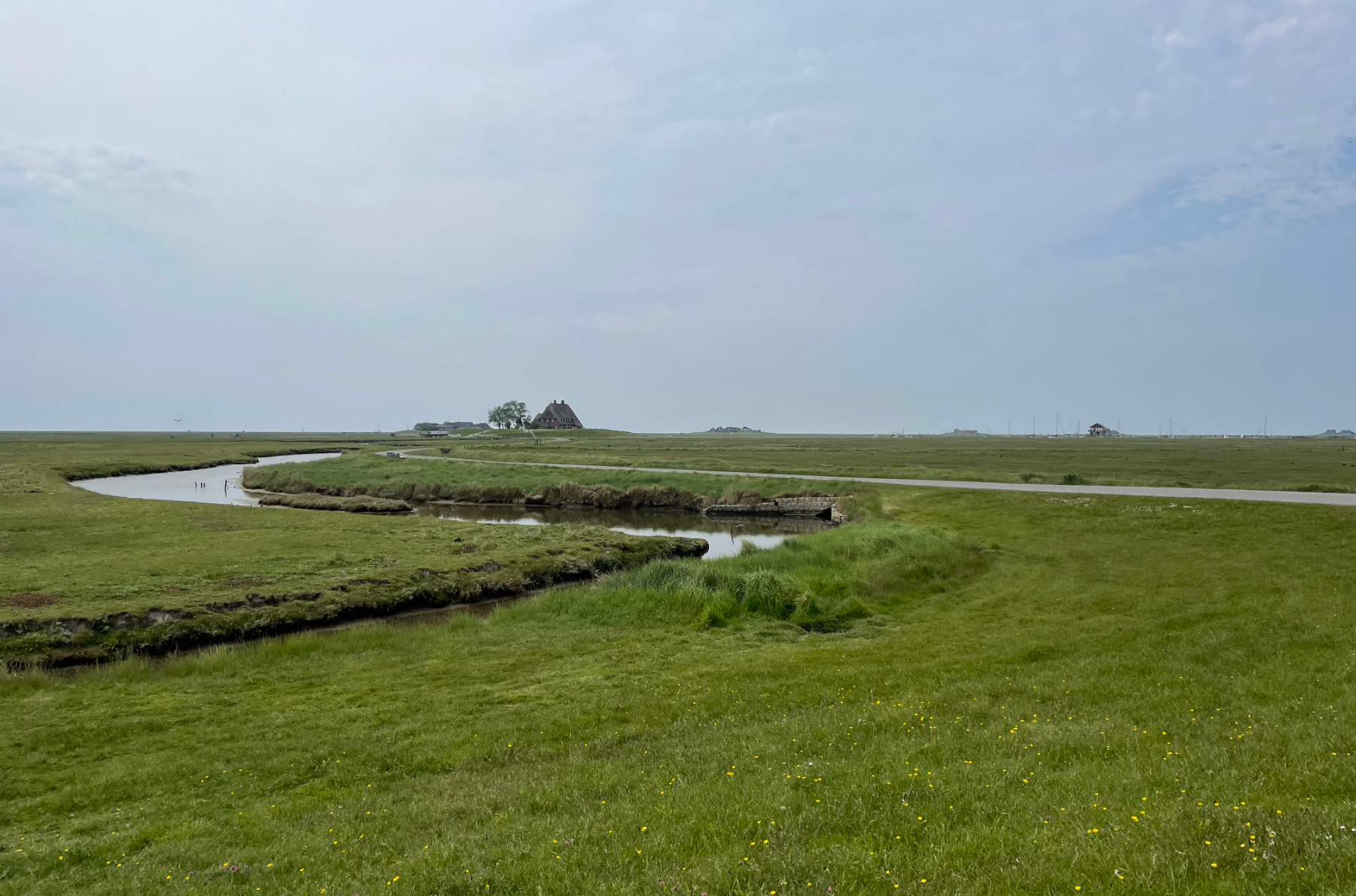 Pad langs de terpen en het binnenwater, veel groene grasvelden