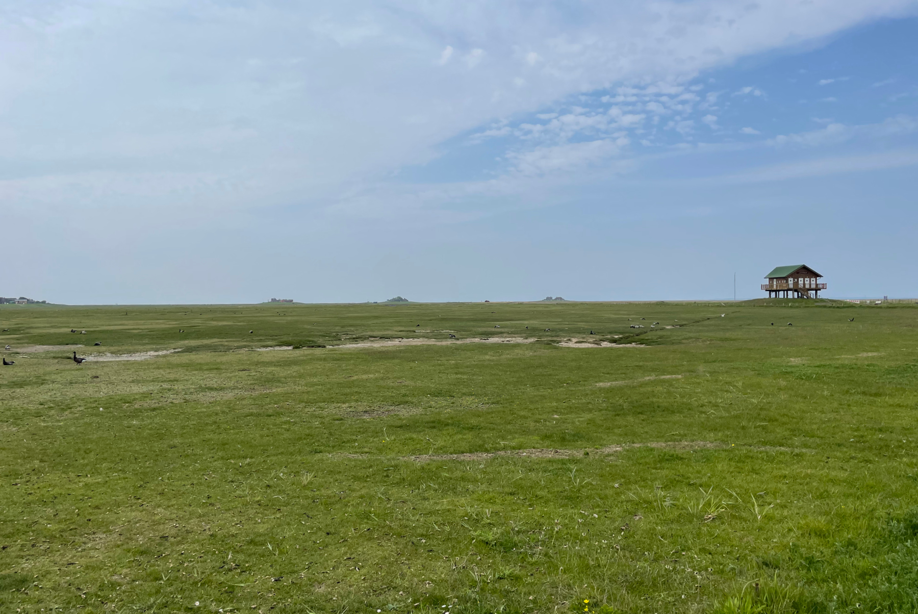Uitzicht op Halling Hooge, een klein Waddeneiland in Duitsland met de bebouwing op terpen