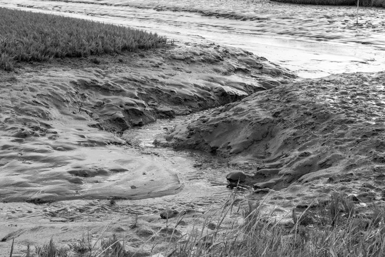 Canyons van modder door het getij